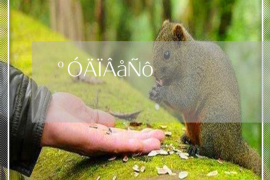 南京遇到恶意拖欠？专业追讨公司帮您解决烦恼